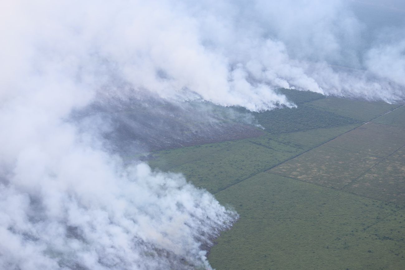 Ilustrasi 16 orang jadi tersangka dari 11 kasus pembakaran lahan di Riau (foto/BNPB)
