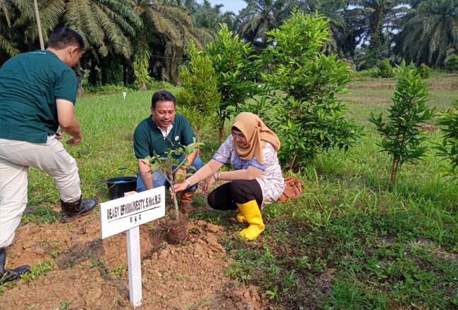 Penanaman pohon di halaman kantor PT Astra Agro Lestari. 