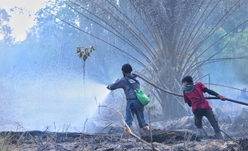 Tim memadamkan Karhutla di Cagar Biosfer Giam Siak Kecil yang ternyata sudah jadi kebun sawit (foto/bayu)