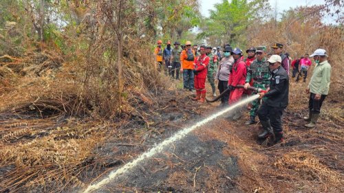 Ilustrasi Riau nihil dari Karhutla (foto/int)