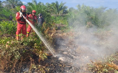 Ilusutrasi setelah sempat turun, hotspot Riau kembali meroket (foto/int)