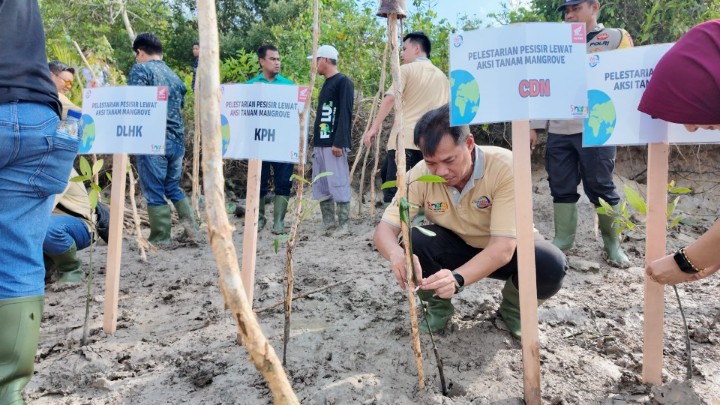 Capella Honda Tanam 1.500 Batang Mangrove di Pelabuhan Dumai Bentuk Sinergi Bagi Negeri