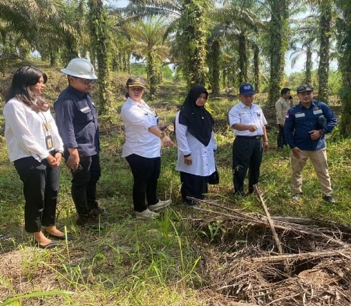 Pembebasan lahan untuk pengeboran Sumur Terusan-01 di Kecamatan Pangkalan Kerinci dalam proses (foto/Andi)