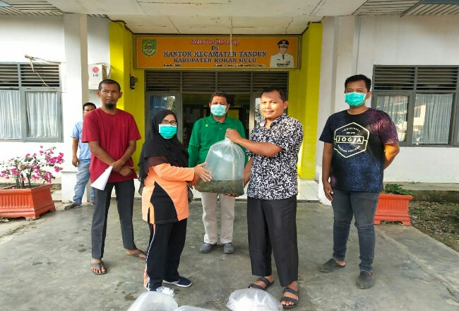 Kepala DKPP Rohul Barikun melalui Kabid Perikanan Saridayanti, serahkan bantuan bibit nila dan lele secara simbolis. Nantinya ke 80 ribu ekor bibit ikan itu akan diserahkan ke tujuh Poktan Pembudidaya Ikan di KecamatanTandun.