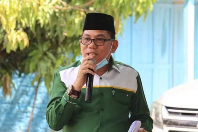 Wakil Ketua DPW PPP Riau, Husaimi Hamidi.(foto: int)