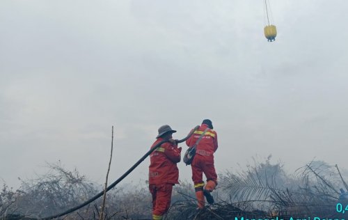 Ilustrasi puluhan hotspot tersebar di Riau (foto/int)