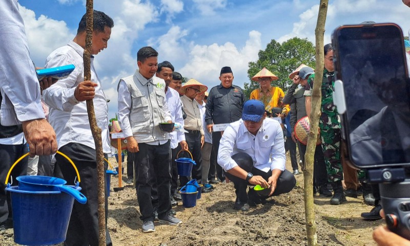 Wamentan RI, Sudaryono didampingi Ketua BPW Pispi Riau, Ade Putra tanam padi gogo di Pekanbaru (foto/ist)