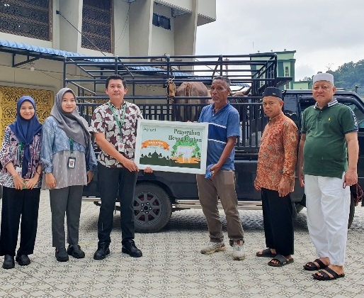 Apical group serahkan hewan kurban di Padang. (ist)
