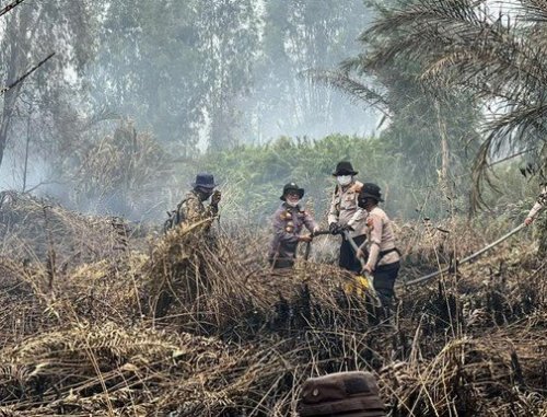 Penanganan karhutla di Dayun, Siak, Riau.