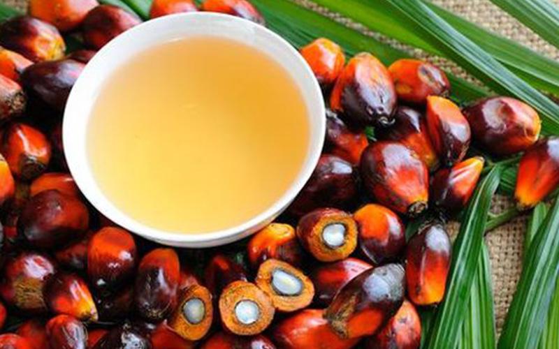 Crude Palm Oil. 