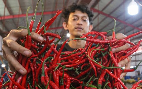 Ilustrasi harga cabai dan bawang di Pasar Selasa Tuah Karya Pekanbaru turun, pedagang waspadai kenaikan (foto/int)