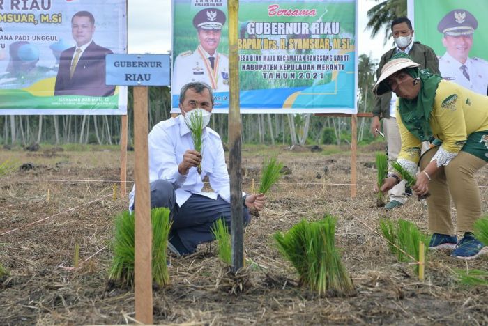 Gubernur Riau Syamsuar bersama petani