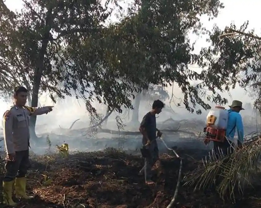 Petugas gabungan memadamkan Karhutla di kampung Benayah, Kabupaten Siak Rabu (4/2/2026). 