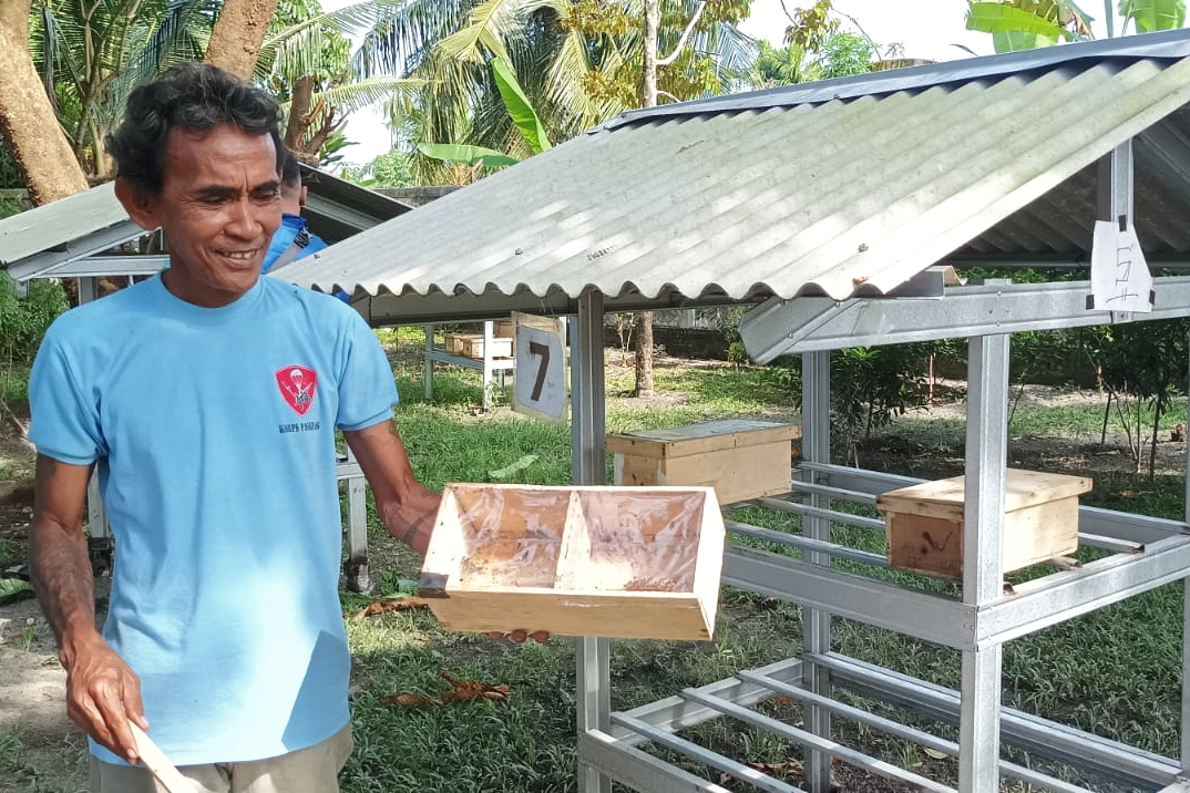 Usaha madu klanceng dan produk turunannya jadi peluang bisnis masa kini.