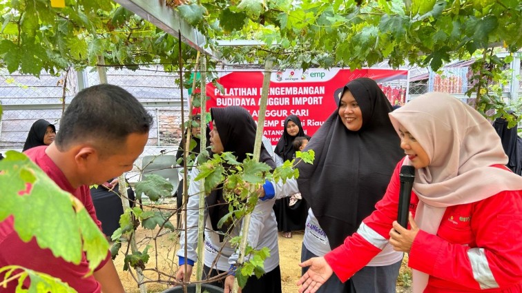 PT EMP Energi Riau menggelar pelatihan budidaya anggur untuk KWT Anggur Sari di Rumah Anggur, Desa Pematang Tinggi, Kerumutan (foto/Andy)