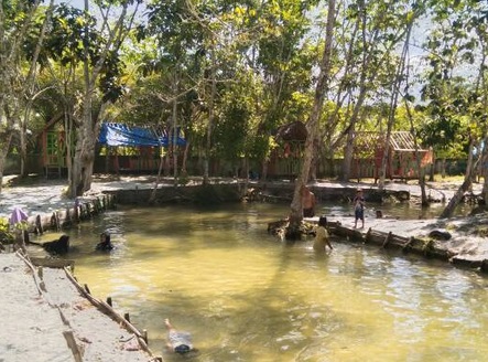 Sungai Hijau di Kampar 