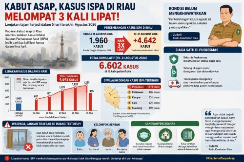 ISPA di Riau meningkat.(infografis/AI/halloriau.com)