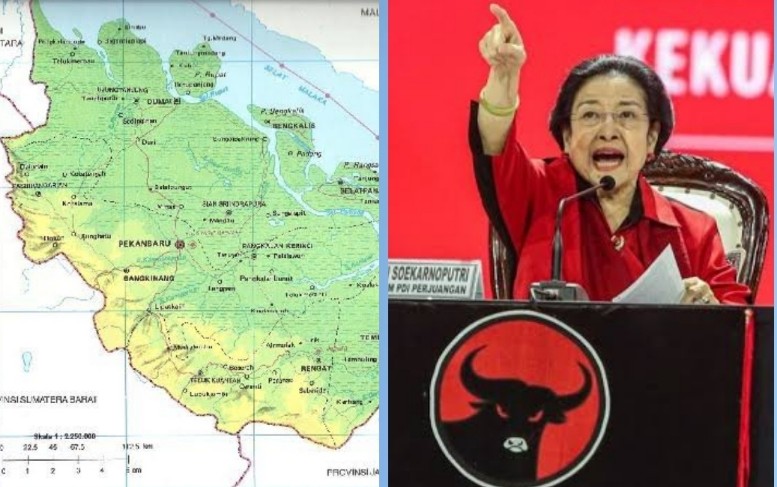 Calon Bupati di Pilkada Riau 2024 yang diusung Ketum PDIP, Megawati raih kemenangan (foto/int)