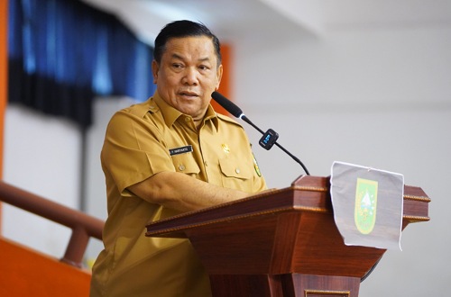 Plt Gubernur Riau, SF Hariyanto.(foto: int)