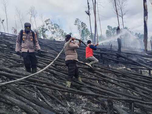 Tim gabungan melakukan pemadaman Kebakaran hutan kawasan Taman Nasional Teso Nilo. (Foto: Andy Indrayanto)