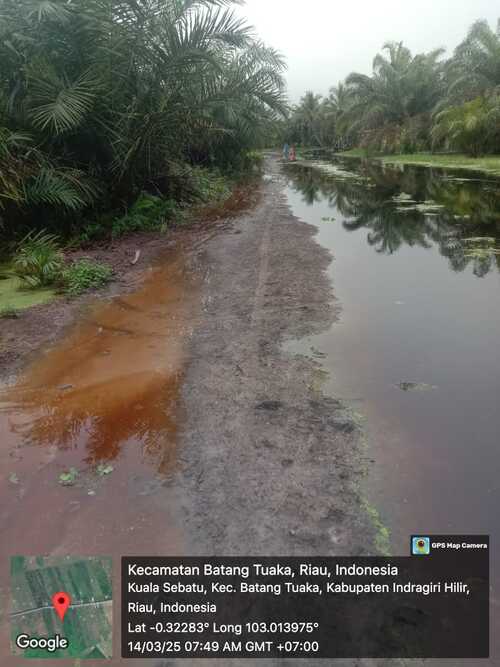 Kondisi lahan akibat luapan dari PT SAGM. (Foto: Ayendra)