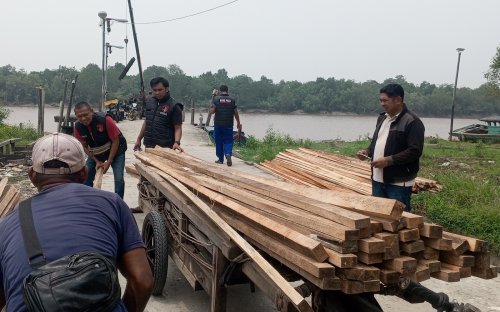 Kayu bloti seberat 5 ton yang akan dikirim ke Pulau Halang.(foto: afrizal/halloriau.com)