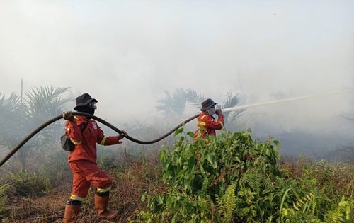 Ilustrasi BMKG mendeteksi ada muncul hotspot di Dumai (foto/int)