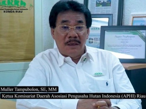 Ketua Komda APHI Riau, Muller Tampubolon.