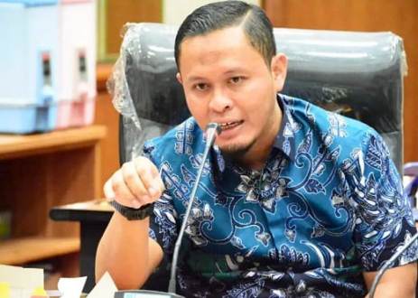 Ketua DPD Demokrat Riau, Agung Nugroho.(foto: mimi/halloriau.com)