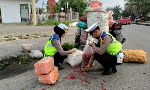 Aksi Kanit Lantas Polsek Senapelan, Iptu Elva Zilla membantu pungut cabai pedagang yang jatuh di depan Mapolsek Senapelan.(foto: bayu/halloriau.com)