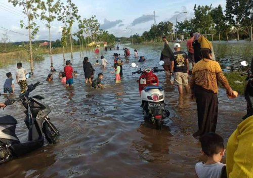 Banjir Pelalawan.(ilustrasi/int)