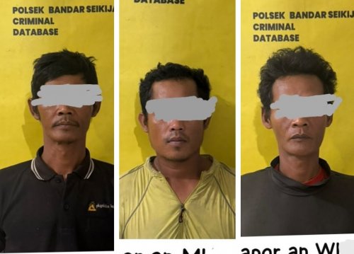 Tiga pelaku pencuri berondolan sawit ditangkap di areal PT PMBN Pelalawan (foto/Andy)