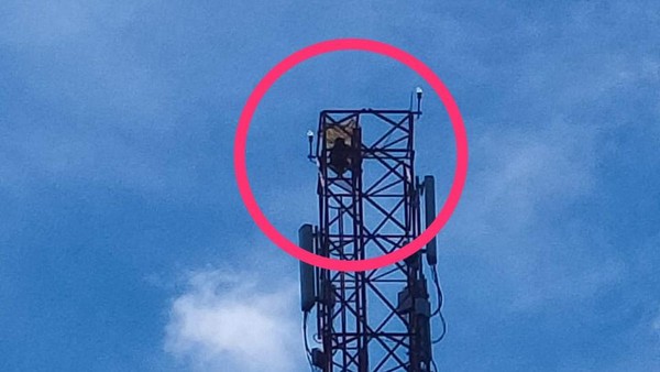 Nenek di Aceh Timur dievakuasi petugas dari tower setinggi 72 meter (foto/int)