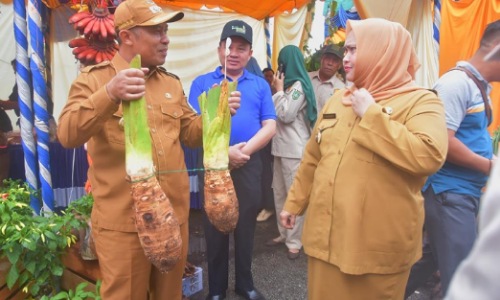 Bupati Bengkalis dan Wabup Bengkalis menghadiri peringatan Hari Tani Nasional.(foto: zulkarnaen/halloriau.com)