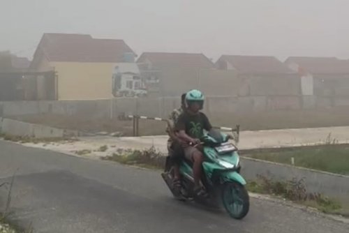 Kabut asap pekat di Pekanbaru mulai ganggu penerbangan (foto/ist)