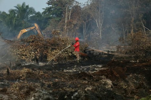 Ilustrasi 115 hotspot terdeteksi di Riau hari ini (foto/int)