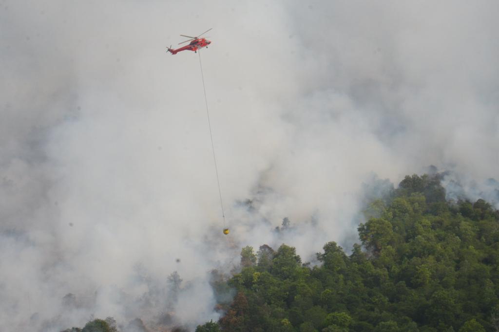 Heli Superpuma milik PT Arara Abadi APP Sinar Mas ketika melakukan Waterbombing pada Karhutla di Tj Leban-Medang Kampai perbatasan Bengkalis Dumai (foto/ist)