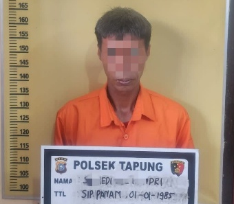 Pelaku pencabulan ditangkap Polsek Tapung, Kampar (foto/ist)