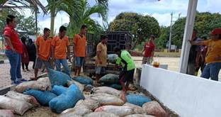 Perusahaan di Rohil polisikan 3 karyawan karena kutip brondolan sawit hingga 45 karung (foto/zal)