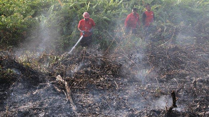 Ilustrasi hotspot di Riau membara dibanyak kabupaten (foto/int)