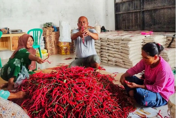 Indra Noval, Ketua Poktan Jaring Mas Sejahtera (tengah) sukses berdayakan petani Desa Pulau Birandang optimalkan lahan tidur (foto/ist)