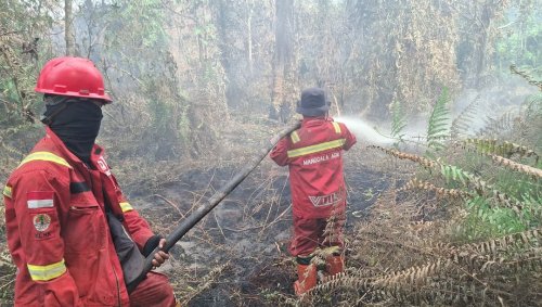Tim Manggala Agni saat pemadaman karhutla di Riau.(foto: mcr)