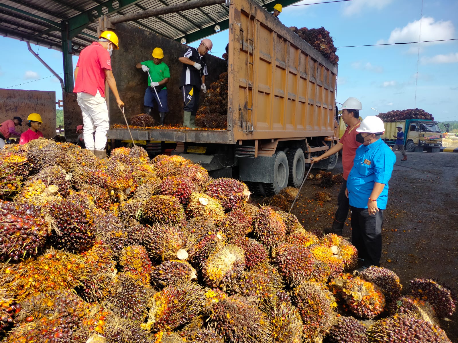 Keberadaan PKS PT Inti Indosawit Subur di Desa Dusun Tua dinilai memberikan berkah bagi ratusan masyarakat.