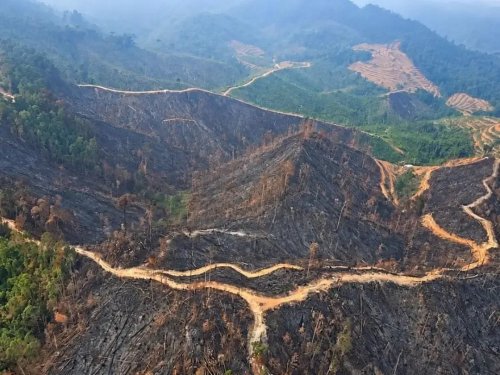 Perbukitan Kampar tampak "gosong", helikopter Caracal sisir area bekas Karhutla (foto/int)