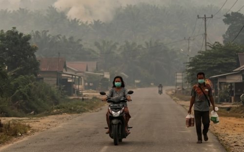 Kualitas udara di Kabupaten Pelalawan tidak sehat.(ilustrasi/AI/halloriau.com)