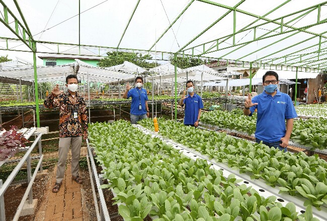 XL Axiata Hadirkan “XL Smart Hydroponics”.