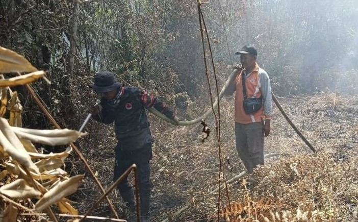 Ilustrasi Karhutla di Riau di musim kemarau (foto/ist)