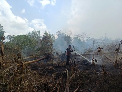 Pemadaman kebakaran hutan dan lahan. Foto Ist