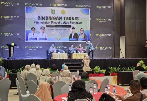 Narasumber menyampaikan materi pada kegiatan Bimtek Peningkatan Produktivitas Pertanian Kota Dumai yang digelar di MaxOne Hotel Dumai, Kamis (21/5/2026).(foto: bambang/halloriau.com)