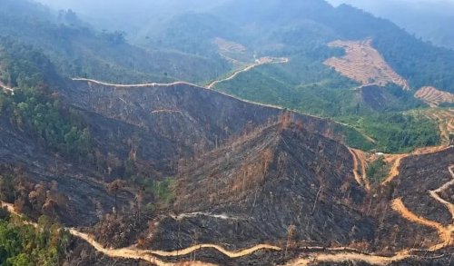 Bekas karhutla di perbukitan Kampar.(foto: mcr)